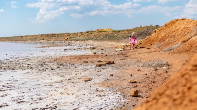 El fondo de sal marina de agua salada rosa hecho de algas unicelulares microscópicas secreta minerales de betacaratina