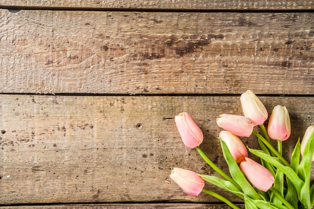 Fondo de San Valentín con tiernas flores de tulipán