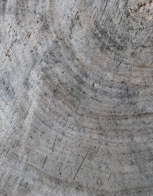 Fondo de la sección transversal del tronco de un árbol textura abstracta de los anillos de madera vieja desgastada