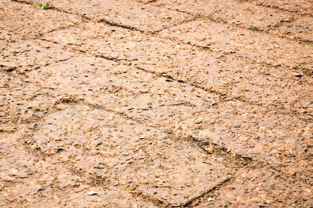 Fondo seco de la textura del piso de la laterita