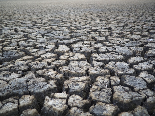 Fondo seco de tierra agrietada