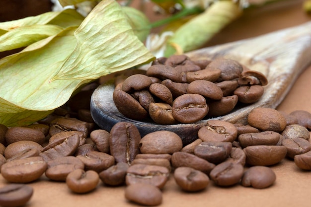 Fondo de semilla de espresso de cafeína tostada en grano de café