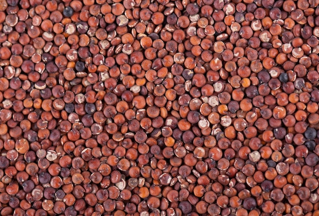 Fondo de semillas de quinua roja Montón de kinwa crudo Vista superior