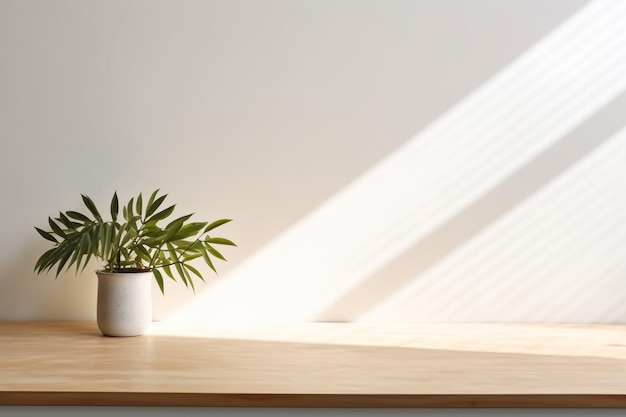 Fondo de sombra de mesa Mesa de madera y pared vacía blanca con sombras de plantas