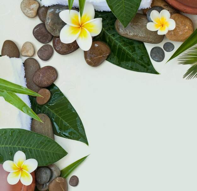 Fondo de spa con hojas verdes flores blancas y piedras oscuras sobre fondo blanco