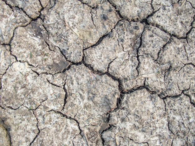 Foto fondo de suelo agrietado