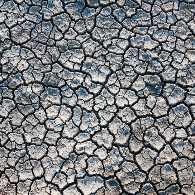 Fondo de suelo de tierra agrietada