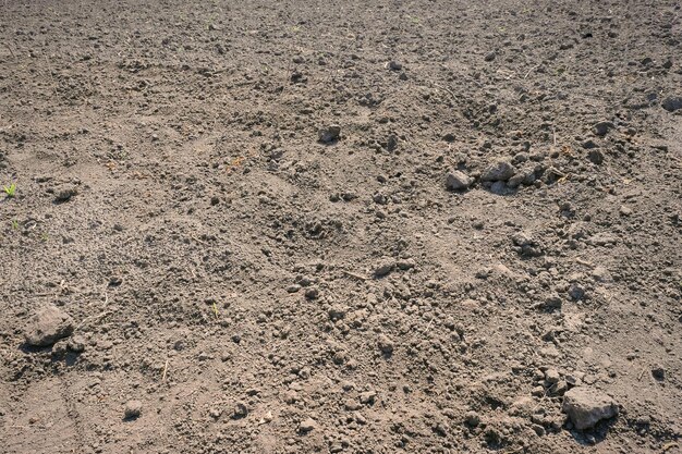 Fondo de suelo de tierra suelo negro en un día soleado