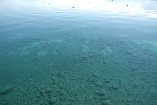 Fondo de superficie de agua de mar ver a través bajo el agua