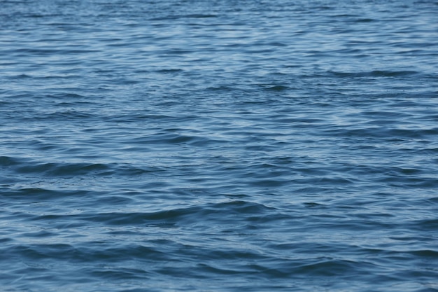 Fondo de la superficie ondulante del mar azul