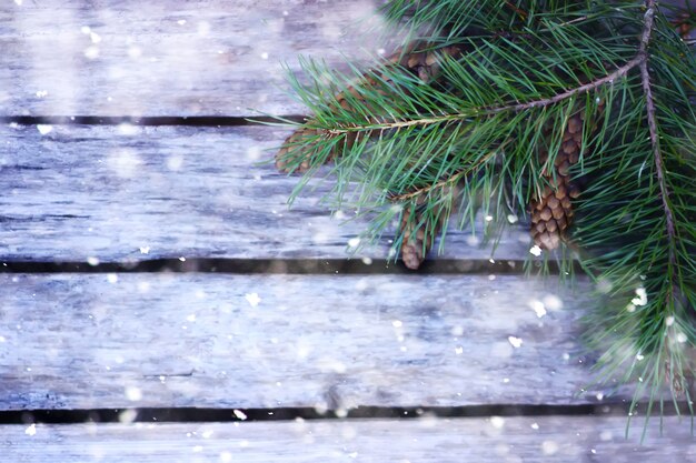 Fondo de tablas de madera decoradas con ramas de pino en la nieve.