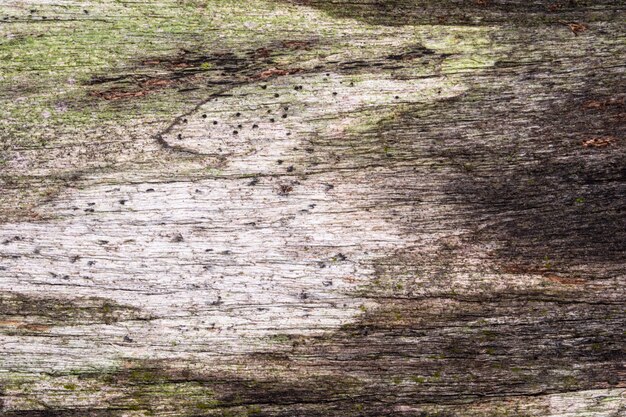 Fondo de tablero de madera vieja