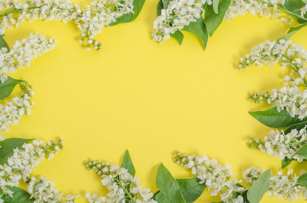 Fondo de tarjeta de felicitación, delicadas flores de cerezo sobre un fondo amarillo en forma de marco con espacio de copia