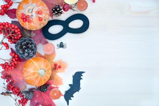 Fondo temático de Halloween y otoño con calabazas, arañas de ceniza de montaña y murciélago con espacio de copia