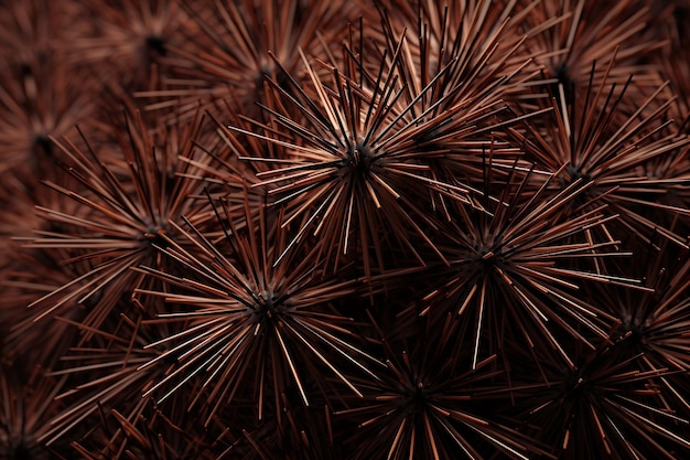 fondo de textura de agujas