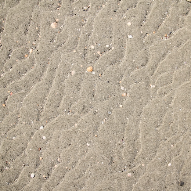 Fondo de textura de arena de mar