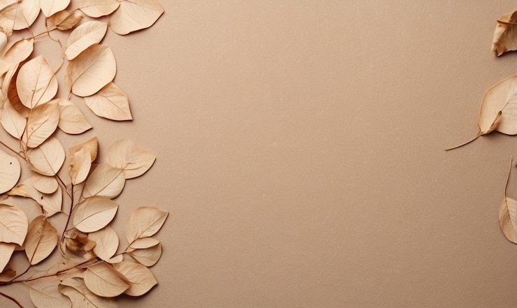 Fondo de textura beige con sombra de hojas