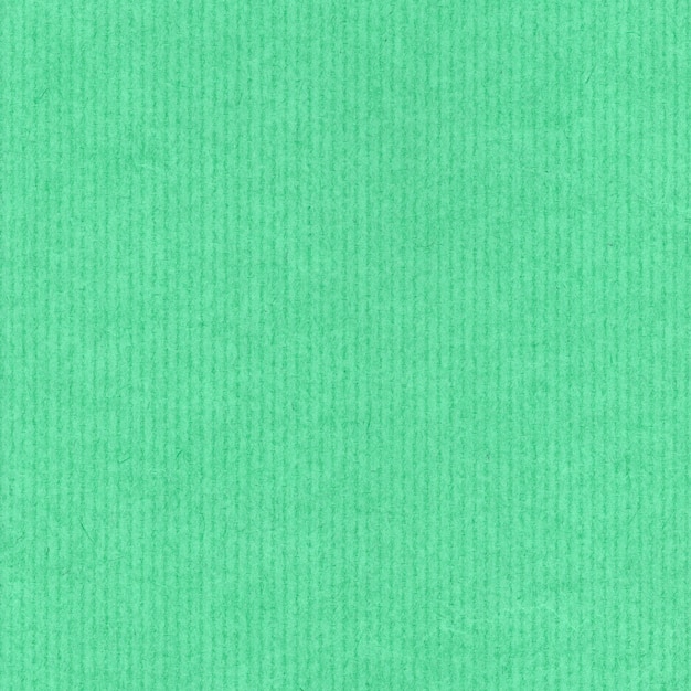 Fondo de textura de cartón verde claro