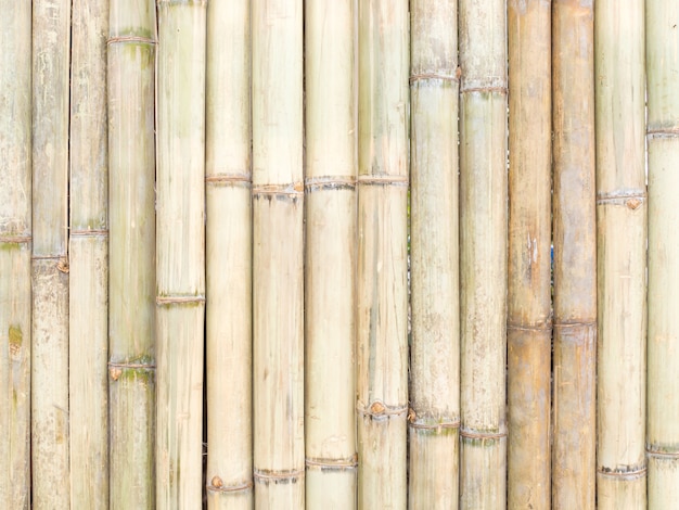 Fondo de textura de cerca de bambú