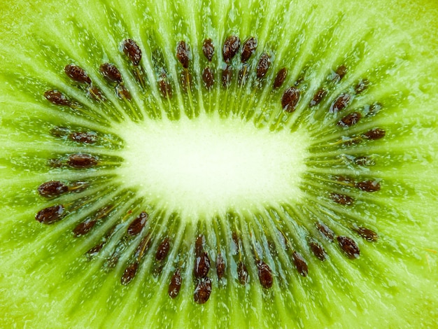 Fondo de textura de cerca Fruta de kiwi