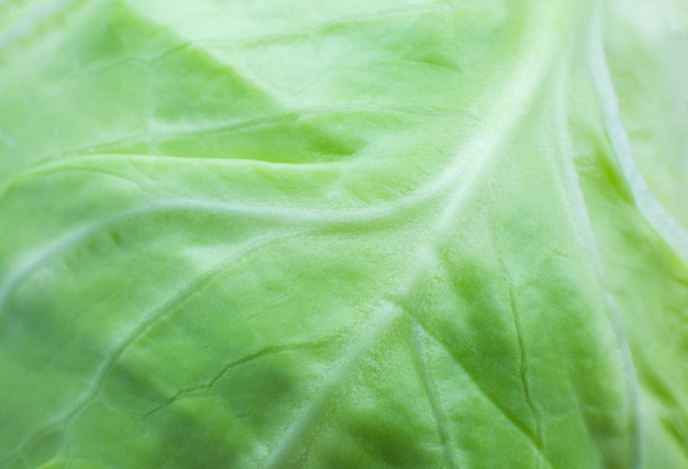 Fondo de textura de col verde. De cerca. Fotografía macro. Papel pintado ecológico natural. Comida vegetariana. Productos vegetales y vitamínicos.