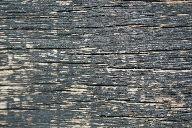 Fondo de textura de corteza de madera