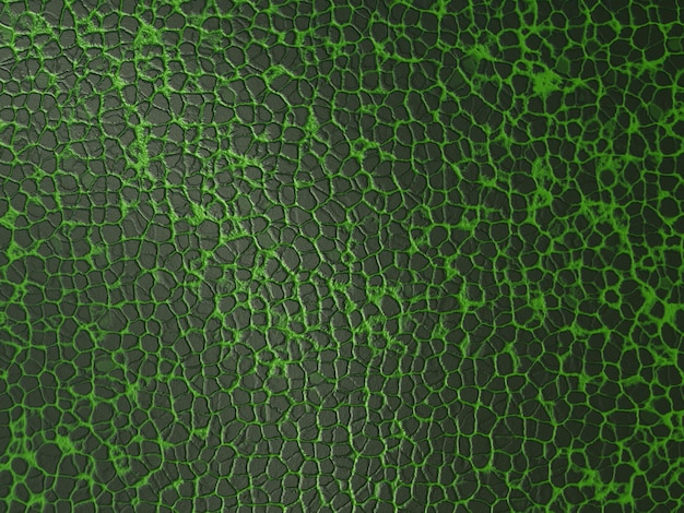 Foto fondo de textura de cuero verde abstracto