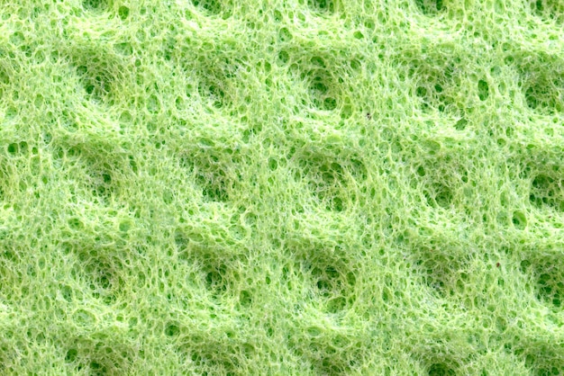 Fondo de textura de esponja de textura de detalle de esponja verde