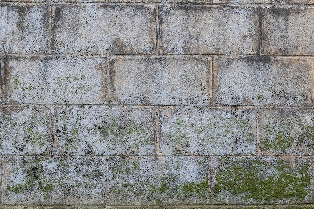 Fondo y textura sin fisuras de la pared del bloque de cemento