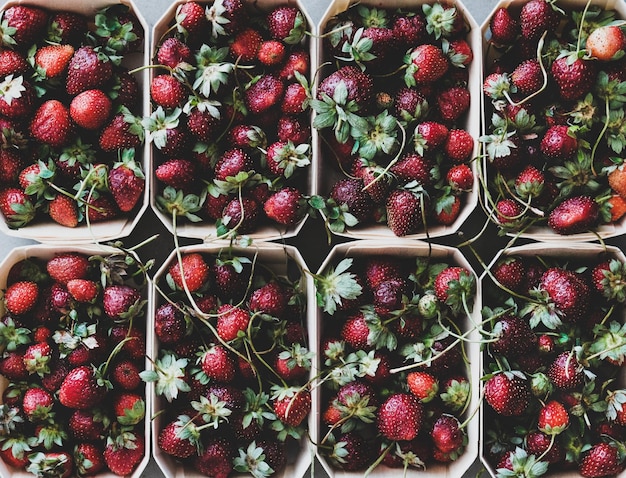 Fondo de textura de fresas frescas en cajas y papel tapiz