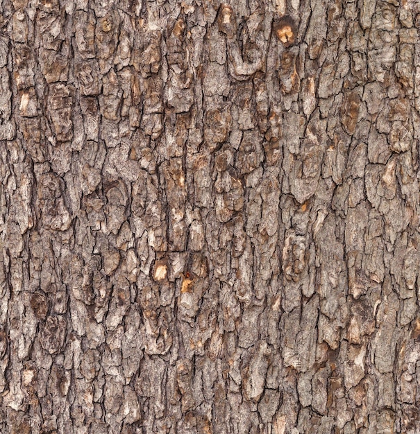 Fondo de textura de grano de madera marrón vintage