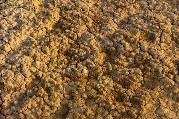 Fondo, textura - grietas en suelo arcilloso seco lleno de baches
