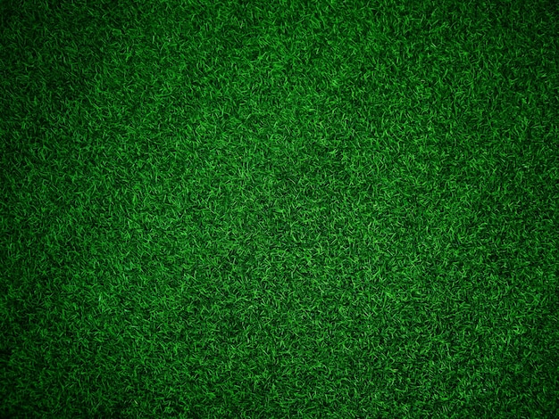 Fondo de textura de hierba verde concepto de jardín de hierba utilizado para hacer campo de fútbol de fondo verde Hierba Golf fondo de textura de patrón de césped verde