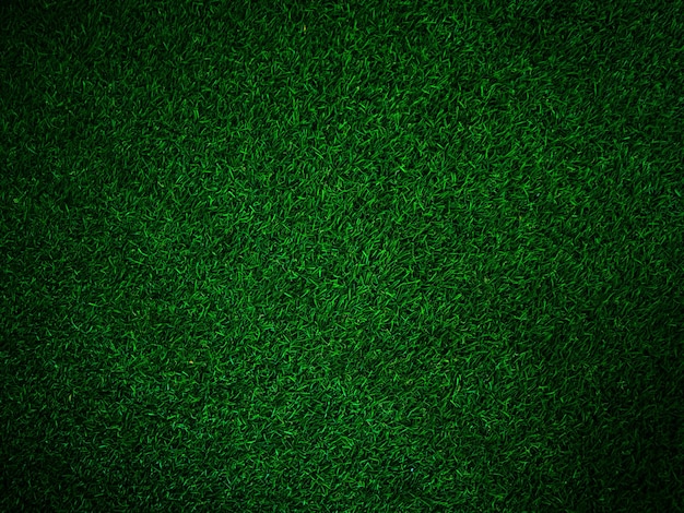 Fondo de textura de hierba verde concepto de jardín de hierba utilizado para hacer campo de fútbol de fondo verde Hierba Golf fondo de textura de patrón de césped verde