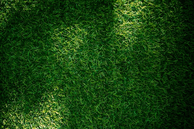 Fondo de textura de hierba verde concepto de jardín de hierba utilizado para hacer campo de fútbol de fondo verde Hierba Golf fondo de textura de patrón de césped verde