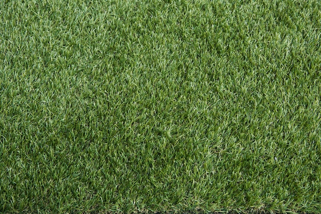 Fondo de textura de hierba verde. Vista superior de la foto