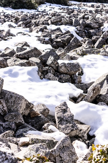 Fondo de textura de invierno abstracto Piedras nieve y hielo en el patrón de la naturaleza Imagen de primer plano