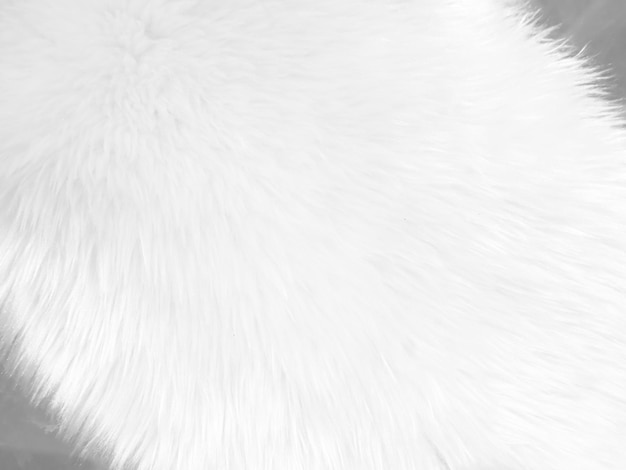 Foto fondo de textura de lana limpia blanca lana de oveja natural clara textura de algodón transparente blanco de piel esponjosa para diseñadores fragmento de primer plano alfombra de lana blancax9