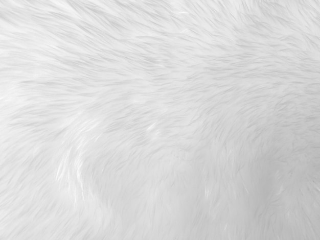 Foto fondo de textura de lana limpia blanca lana de oveja natural clara textura de algodón transparente blanco de piel esponjosa para diseñadores fragmento de primer plano alfombra de lana blancax9