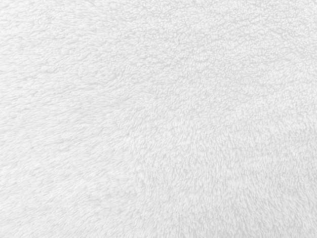 Fondo de textura de lana limpia blanca lana de oveja natural clara textura de algodón transparente blanco de piel esponjosa para diseñadores primer fragmento alfombra de lana blanca