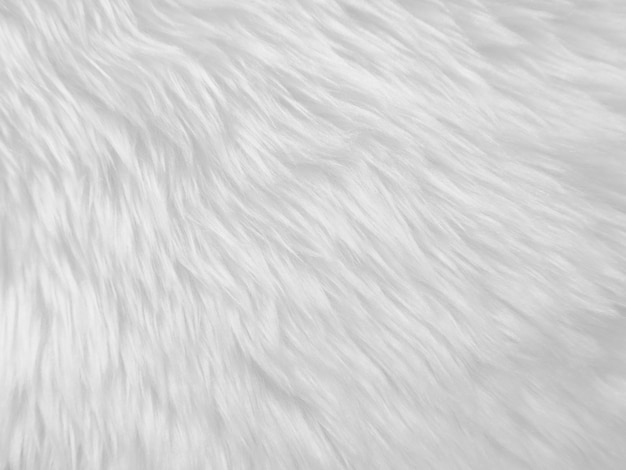 Fondo de textura de lana limpia blanca lana de oveja natural clara textura de algodón transparente blanco de piel esponjosa para diseñadores primer fragmento alfombra de lana blanca