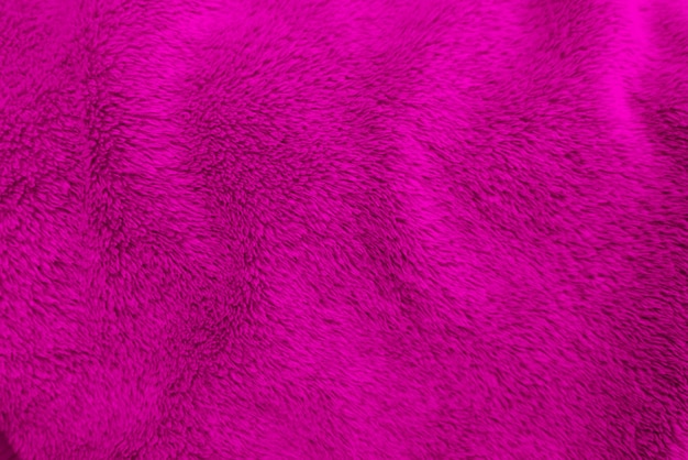 Fondo de textura de lana limpia magenta lana de oveja natural claro magenta