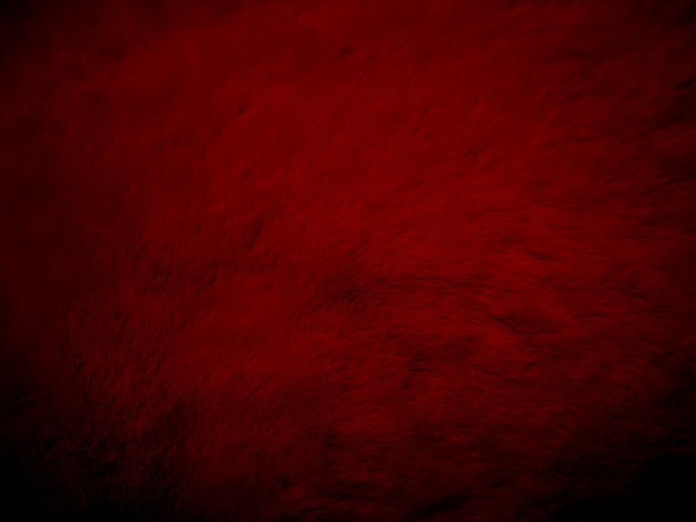 fondo de textura de lana limpia roja degradado abstracto lana de cabello natural negro textura de algodón transparente blanca de piel esponjosa para diseñadores escarlata de lujo para fragmento de seda alfombra de lana