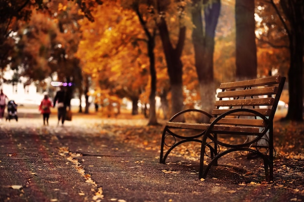 Fondo de textura de lluvia de banco de parque de otoño Lluvia en el parque de otoño gotas de viento de agua