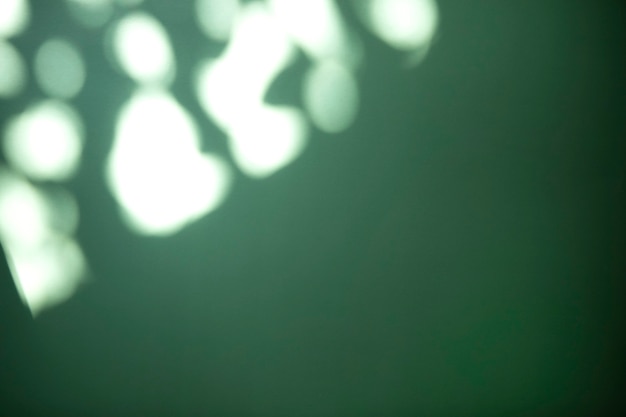 Fondo de textura de luz borrosa con sombra en la pared verde