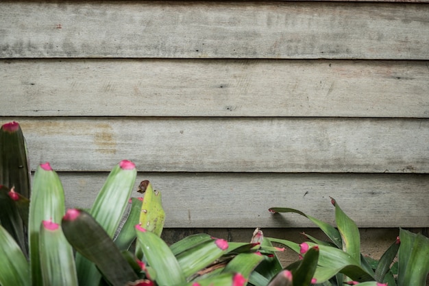 Fondo de textura de madera con árbol