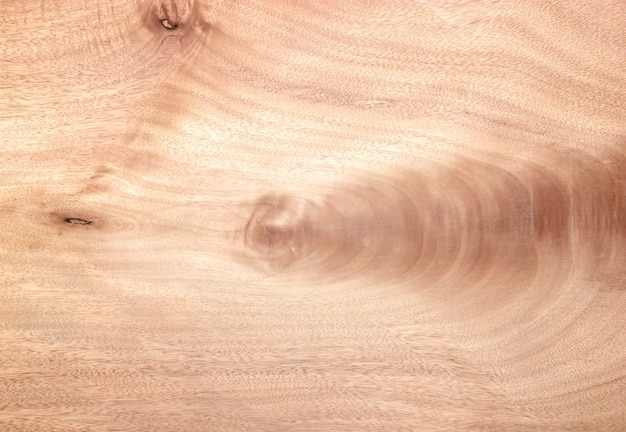 Fondo de textura de madera contrachapada
