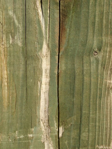 Fondo de textura de madera marrón