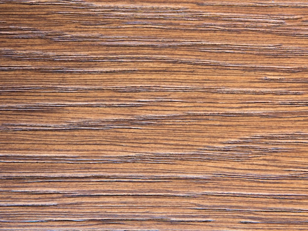 Foto fondo de textura de madera multicolor