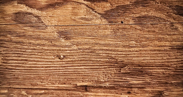 Fondo de textura de madera natural